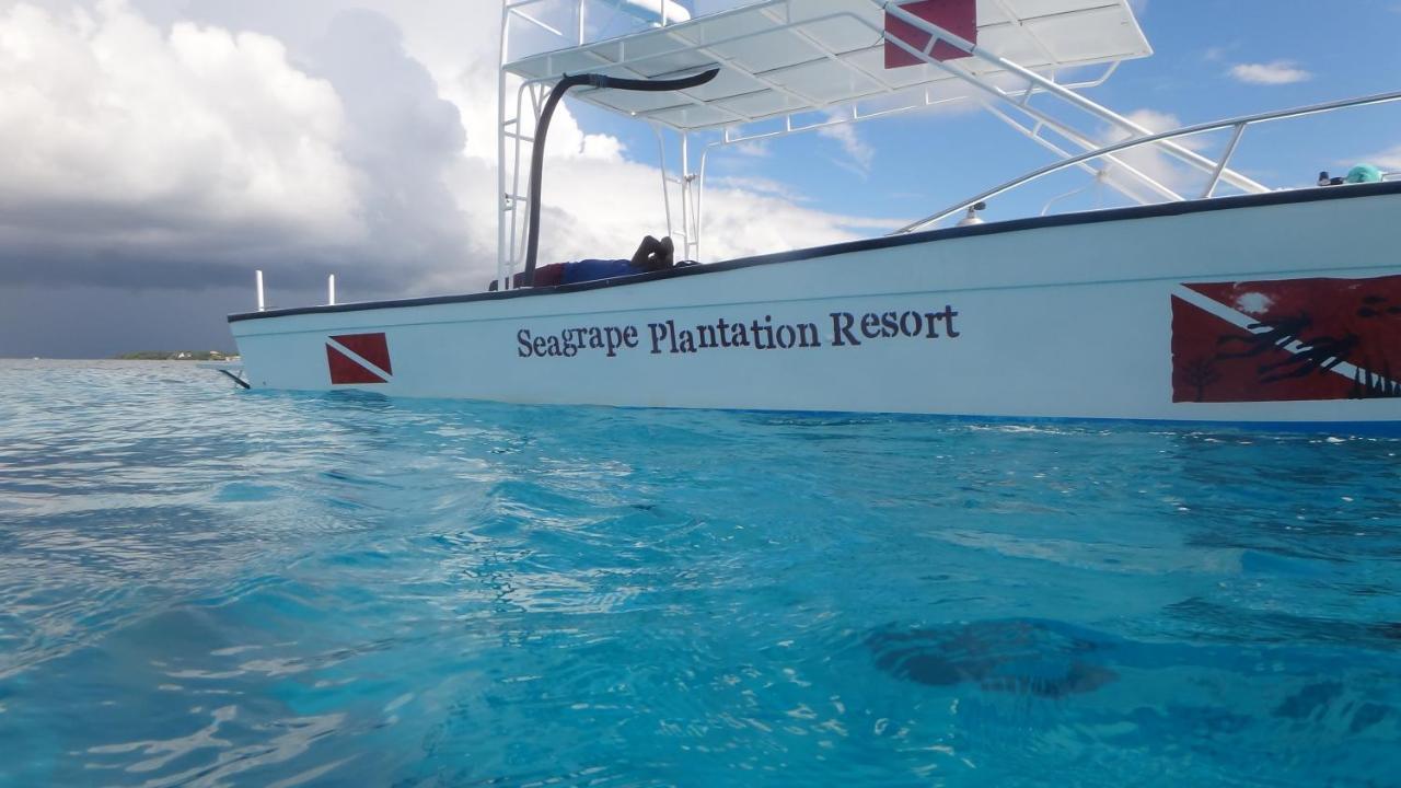 Seagrape Plantation Resort & Dive Center West End Luaran gambar